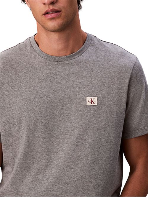 T-shirt in cotone Calvin Klein Jeans | LV04RC272GRO2
